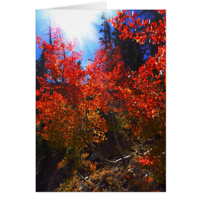 Arbres rouges, Toutes les occasions Carte de voeux (Devant)