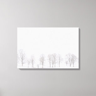 Arbres stériles en hiver dans la toile blanche du