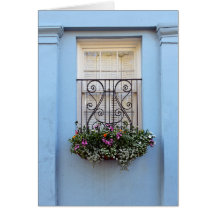 Arc-en-ciel Boîte à fleurs, Charleston, S.C.