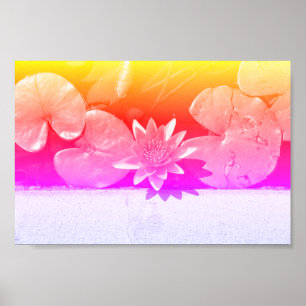 Arc-en-ciel Couleurs de l'eau Lily Plante Poster