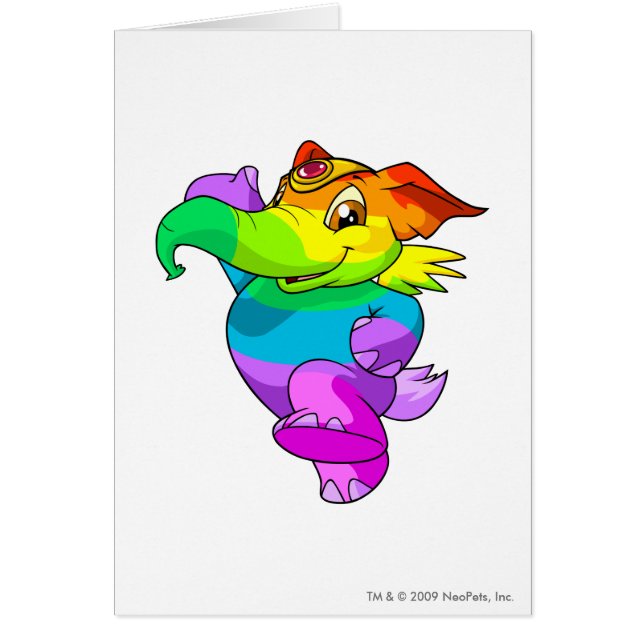 Arc-en-ciel d'Elephante (Devant)