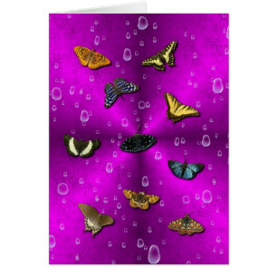 Arc-en-ciel et papillon sur arc-en-ciel rose