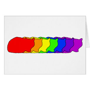 Arc-en-ciel exotique