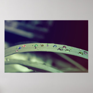 Arc-en-ciel Poster / Impression encadrée