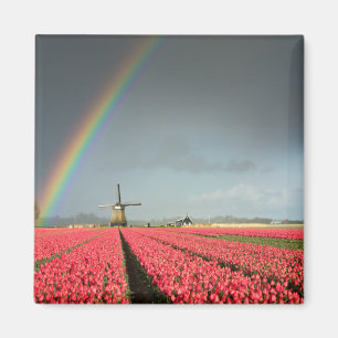Arc-en-ciel, tulipes et aimant de moulin à vent