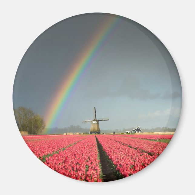 Arc-en-ciel, tulipes et aimant rond moulin (Devant)