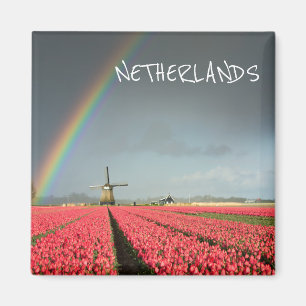 Arc-en-ciel, tulipes et aimant texte du moulin à v