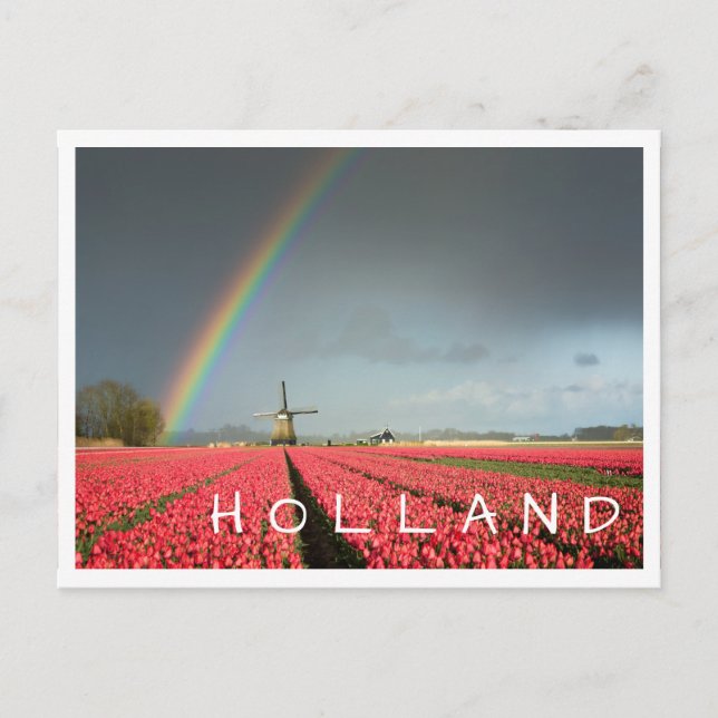 Arc-en-ciel, tulipes et moulin Holland carte posta (Devant)