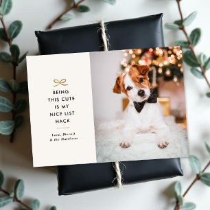 Arc en or minimaliste Carte de Noël pour animaux d
