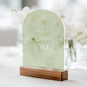 Arch Acryl Sage-Grün Hochzeitstisch Zwei Nummer Acryleinladungen