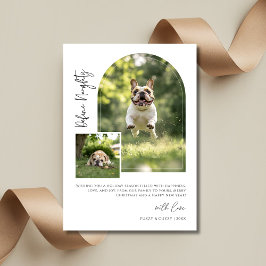 Arch Foto Definition Naughty Funny Dog Weihnachten