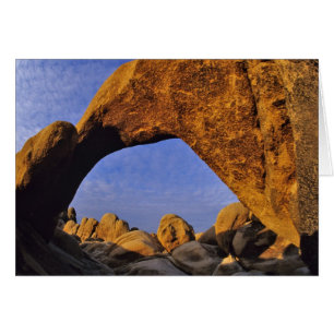 Arch Rock à Joshua Tree National Park dans