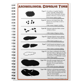 Archäologisches Coprolite schreibt Notizbuch Notizblock