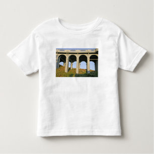 Arched unterstützt Patterson Memorial Bridge Kleinkind T-shirt