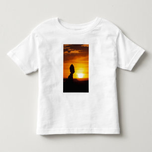 Arches Nationalpark, ABER Balance Felsen Kleinkind T-shirt