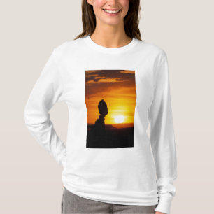 Arches Nationalpark, ABER Balance Felsen T-Shirt