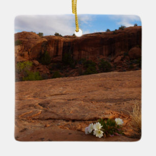 Arches Slickrock und Abend Primrose Landschaft Keramikornament