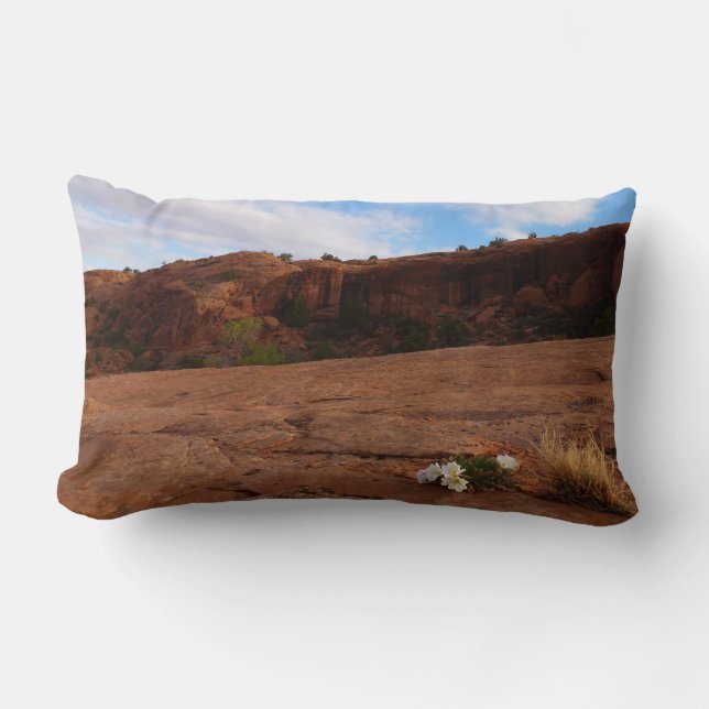 Arches Slickrock und Abend Primrose Landschaft Lendenkissen (Vorderseite)