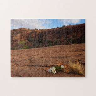 Arches Slickrock und Abendprimel-Landschaft