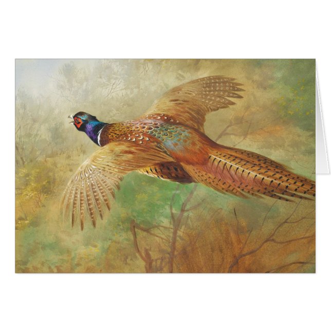 Archibald Thorburn Flying pheasant Bird Kunstkarte (Vorderseite (Horizontal))