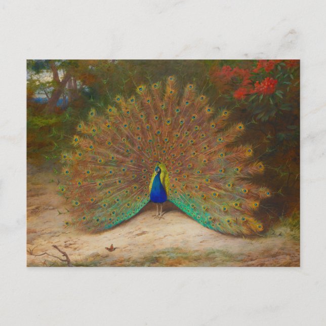 Archibald Thorburn Peacock KunstKunstkunst Postkarte (Vorderseite)