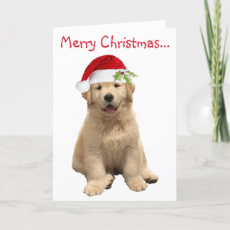 Archie Christmas Puppy Dankeskarte