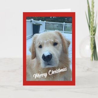 Archie Christmas Snow #3 Dankeskarte