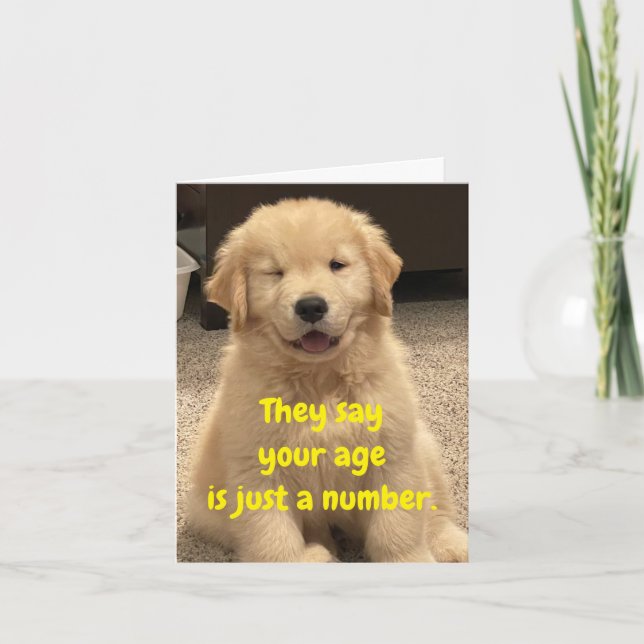 Archie's Adventures Birthday Card Karte (Vorderseite)