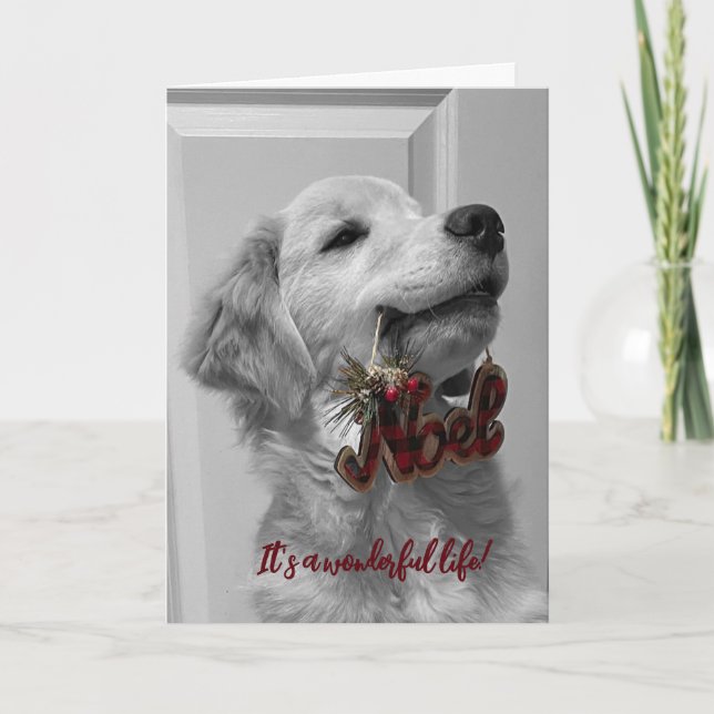 Archie's Adventures Blankokarte 14 Dankeskarte (Vorderseite)