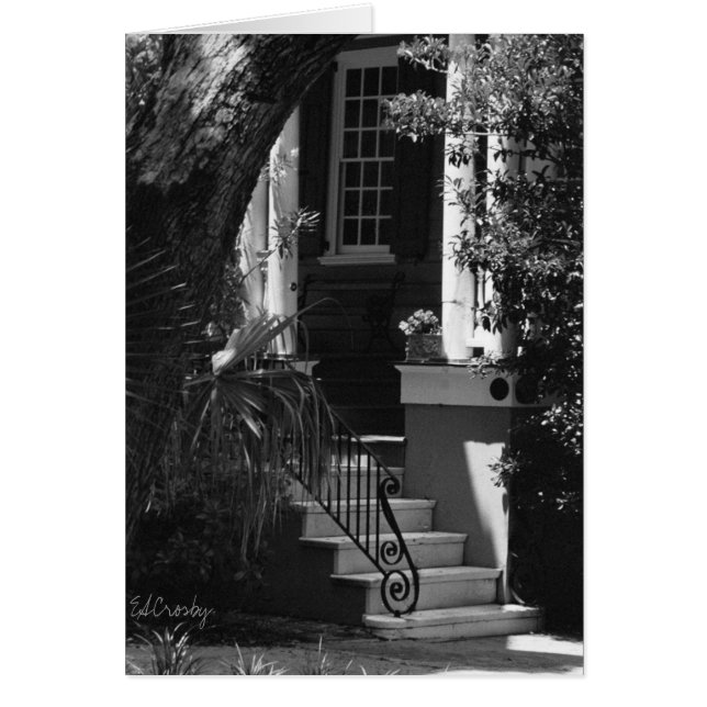 architecture #30 (Devant)