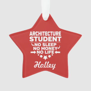 Architekt Student kein Leben oder Geld Ornament