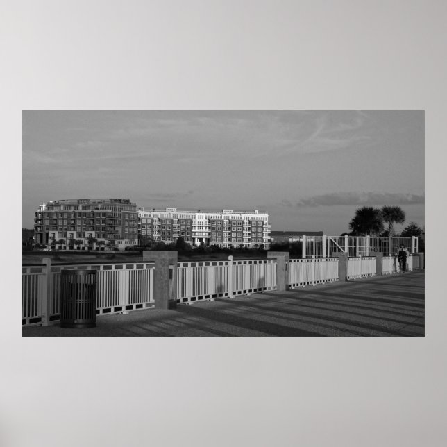 Architektur an der Ravenel-Brücke Poster (Vorne)