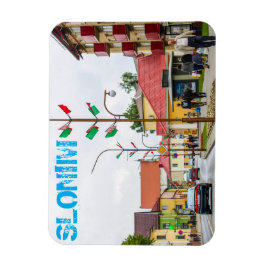 Architektur der Stadt Belarus Slonim Magnet