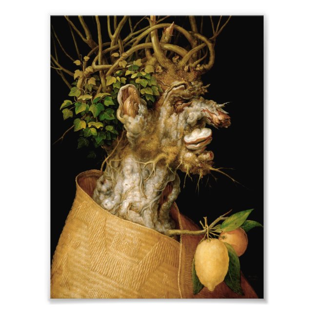 Arcimboldo Winter Print Fotodruck (Vorne)