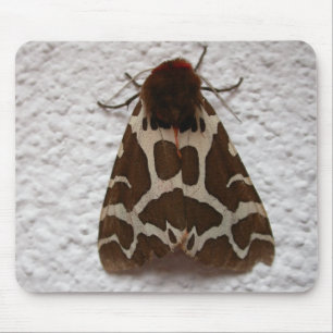 Arctia caja mousepad