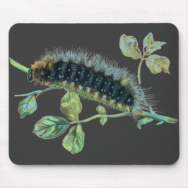 Arctia Caja Raupe Mousepad (Vorne)