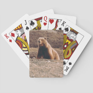 Arctic Alaska Tundra Grizzly Sow Foto entwickelt Spielkarten