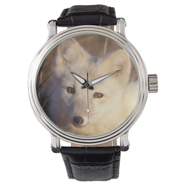 Arctic fox, Alopex lagopus Armbanduhr (Vorderseite)