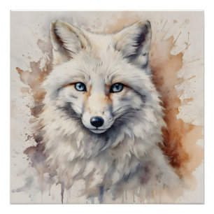 Arctic Fox no 2 Glossy Poster