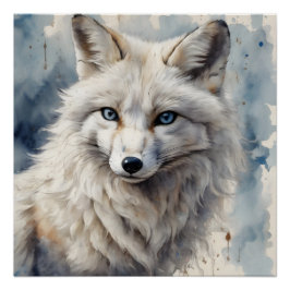 Arctic Fox no 3 Glossy Poster