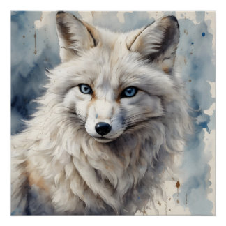 Arctic Fox no 3 Poster brillant