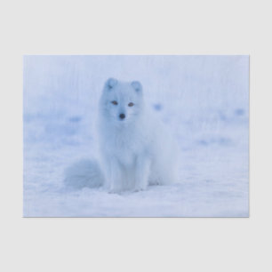Arctic Fuchs Tissue Paper Seidenpapier