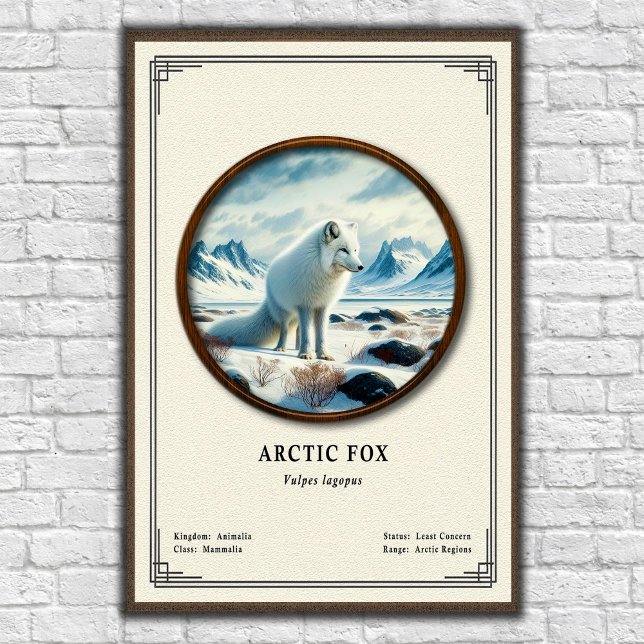 Arctic-Fuchs-Zoologie-Serie Poster (Von Creator hochgeladen)