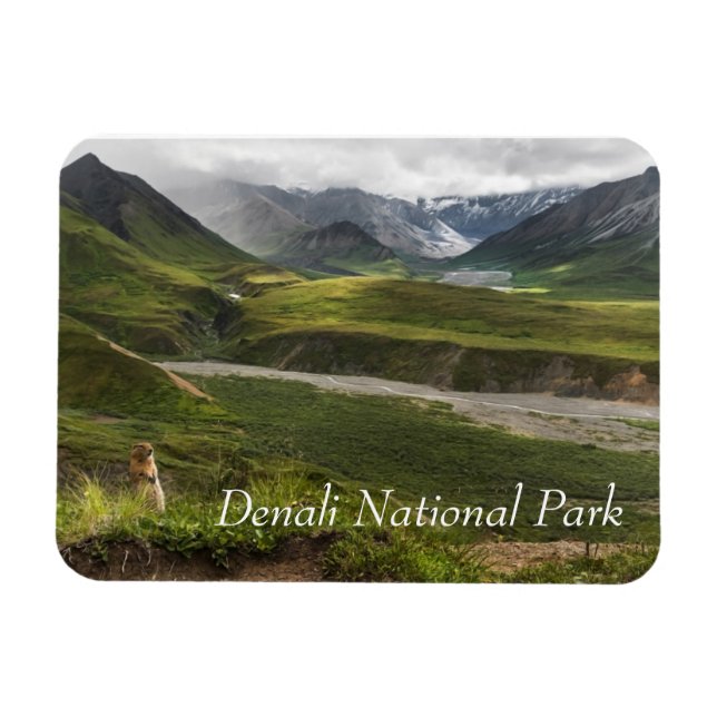 Arctic Ground Squirrel Denali Magnet (Horizontal)