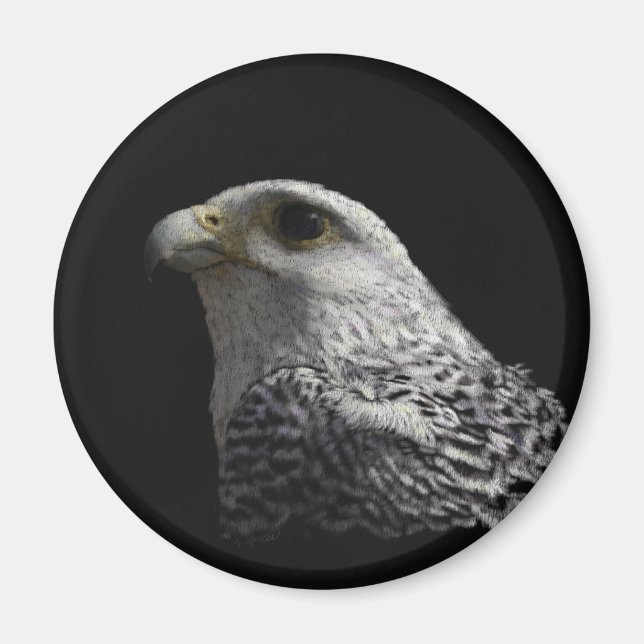 Arctic Gyrfalcon Magnet (Vorne)