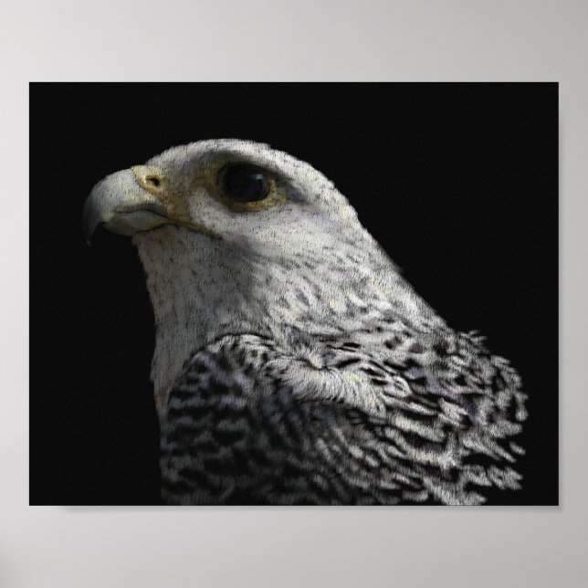 Arctic Gyrfalcon Poster (Vorne)