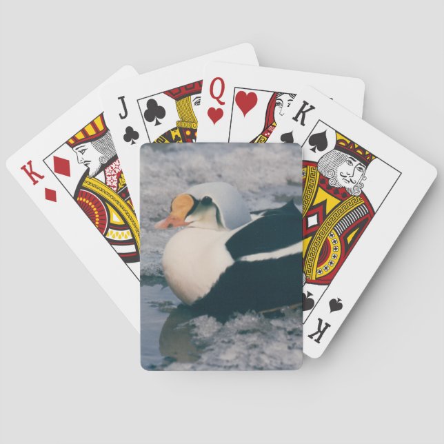 Arctic King Eider Waterfowl Bird Foto Design Deck Spielkarten (Rückseite)
