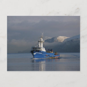 Arctic Mariner, Crab Boat im niederländischen Hafe Postkarte