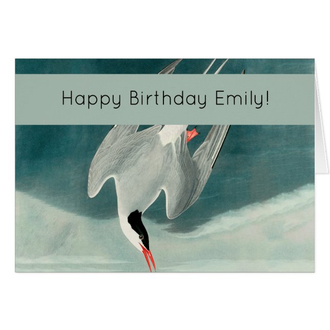 Arctic Tern Audubon Bird Wildlife Painting (Vorderseite (Horizontal))