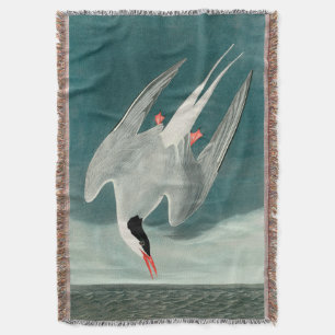 Arctic Tern Audubon Bird Wildlife Painting Decke